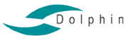 Dolphin Enterprise Solutions Corporation